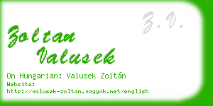 zoltan valusek business card